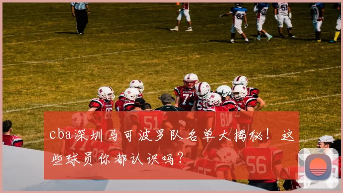 cba深圳马可波罗队名单大揭秘！这些球员你都认识吗？